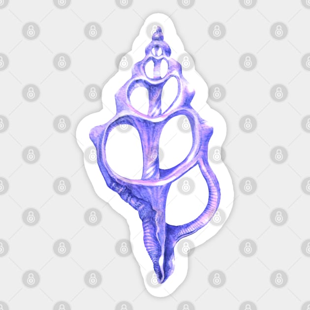 Sea Shard Sticker by LauraOConnor